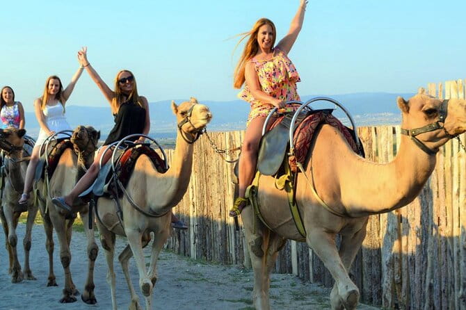 Fethiye Camel Riding at Gosht Town - Final Thoughts