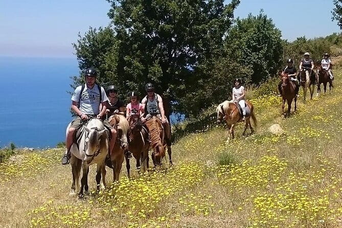 Fethiye Horse Riding Experience - Key points / Takeaways