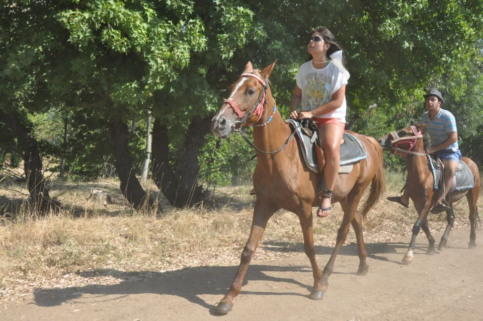 Fethiye Horse Safari - Transfer and Guide Details