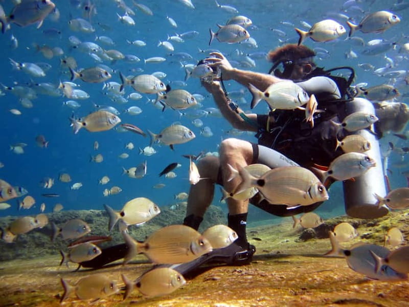 Fethiye: Ölüdeniz Scuba Diving Tour - The Guides and Their Role in Your Experience