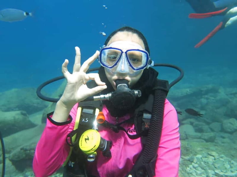 Fethiye: Ölüdeniz Scuba Diving Tour - Who Is This Tour Best Suited For?