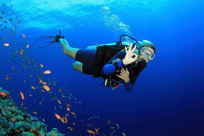 Fethiye Scuba Diving Experience By A Local Expert - Key Points / Takeaways