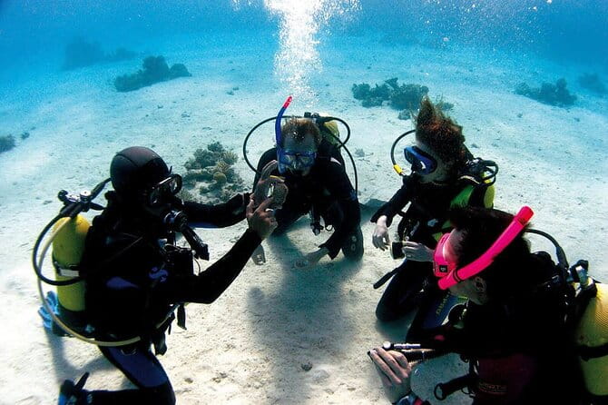 Fethiye Scuba Diving Experience By A Local Expert - Who This Tour Is Best For