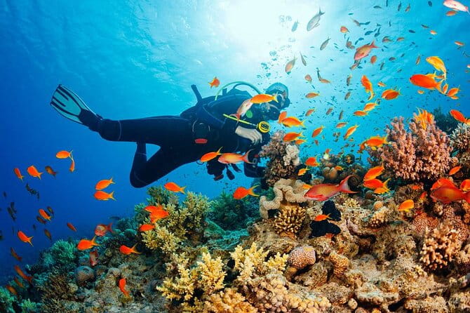 Fethiye Scuba Diving Experience By A Local Expert - Practical Details and Tips