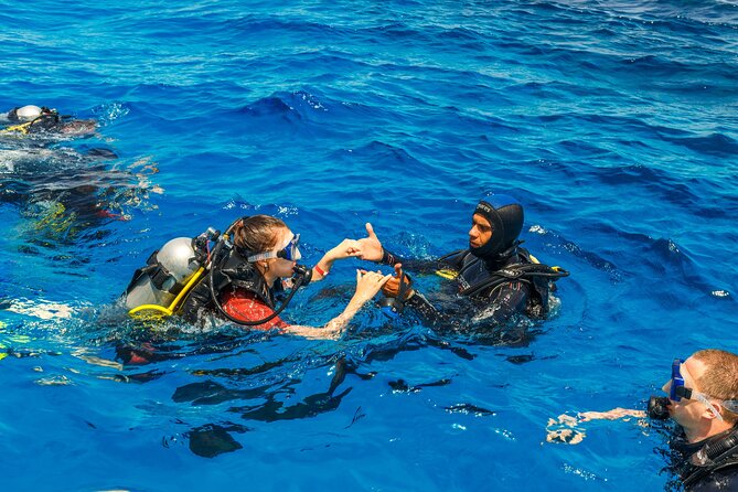 Fethiye Scuba Diving Experience - Diving Gear and Underwater Exploration