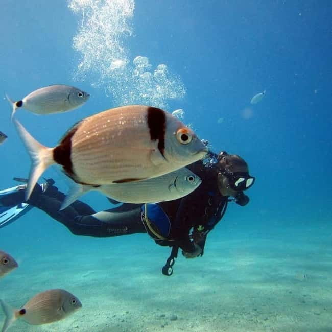 Fethiye Scuba Diving Tour: Free Shuttle Service - Lunch Included - Detailed Review of the Fethiye Scuba Diving Tour