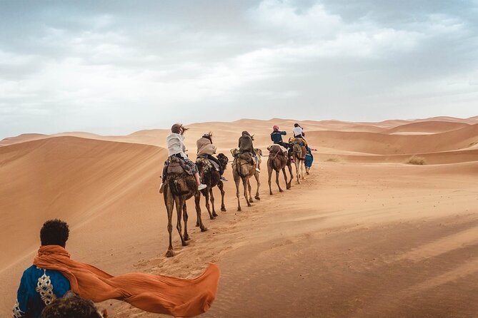 Fez to Sahara Desert Tour 3 Days 2 Nights - Pricing and Reviews