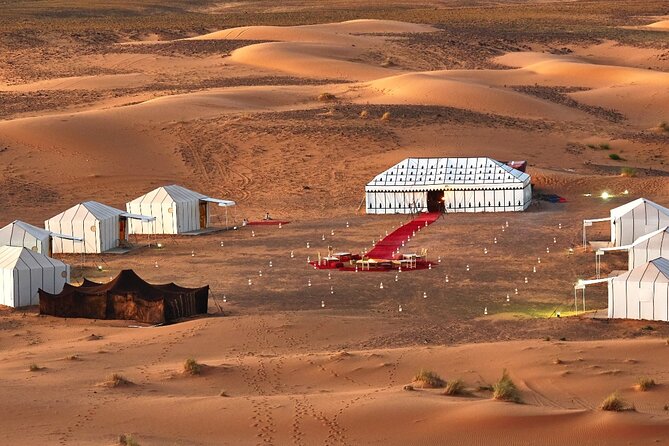 Fez to Sahara Desert Tour 3 Days 2 Nights - Spotting Barbary Macaques