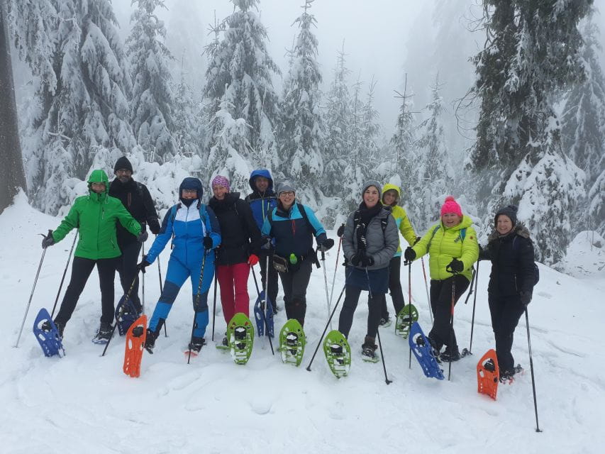 Fichtelgebirge: Snowshoe Hike - Tour Highlights