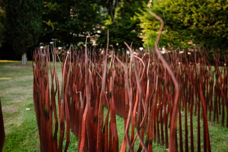 FILANDETTA PARK WINE & ART FARM: FOUNDER'S TOUR - Entering Veneto’s Hidden Art and Wine Gem