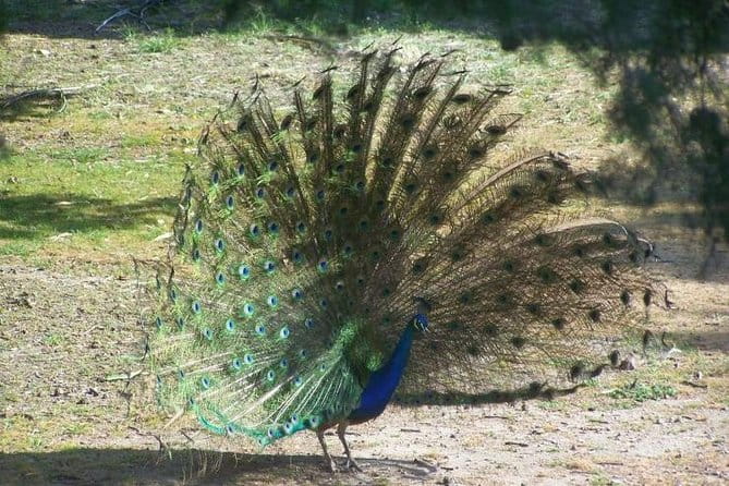 Filerimos Hill & Butterflies Valley Adventure! - Final Thoughts: Is It Worth It?