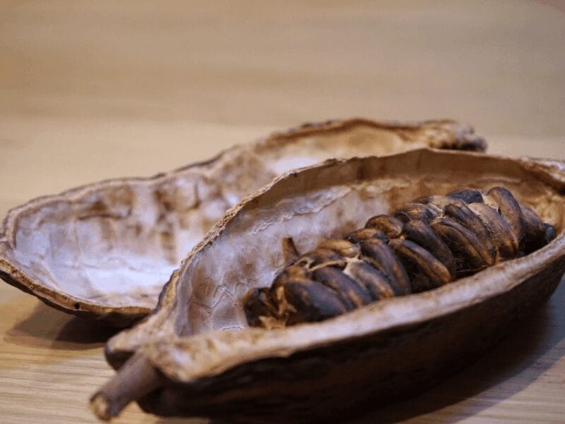 Fine Chocolate Tasting in Turin - A Delicious Dive into Turin’s Fine Chocolate Scene