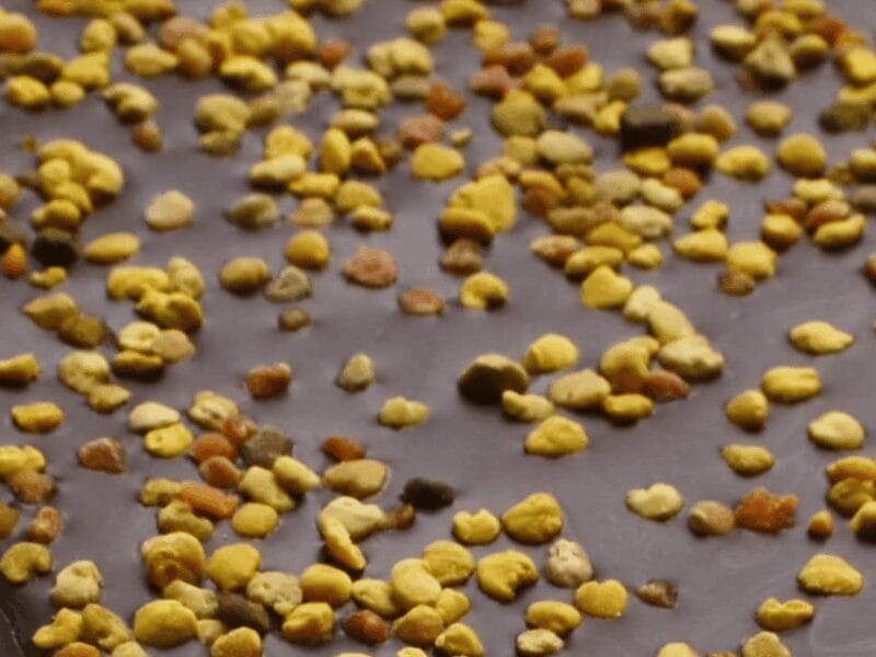 Fine Chocolate Tasting in Turin - Price and Logistics: Is It Good Value?