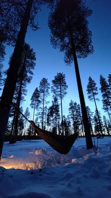 Finland Levi: Arctic Cocooning Experience in HaliPuu Forest - Starting Point and First Steps in Veitservasa