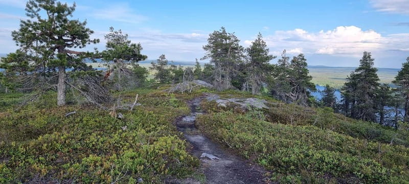 Finnish Lapland: Midnight Sun Hike in Riisitunturi np - Discovering Lapland’s Midnight Sun: An In-Depth Review