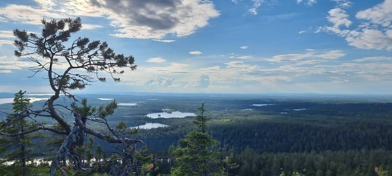 Finnish Lapland: Midnight Sun Hike in Riisitunturi np - Final Thoughts