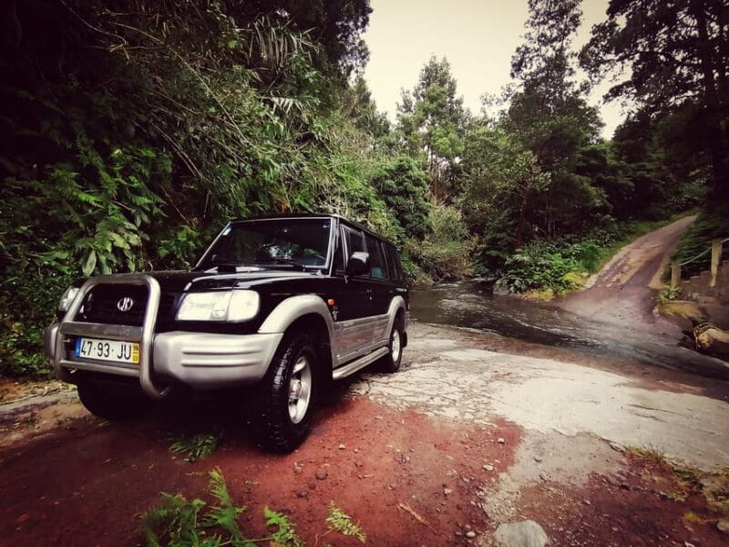 Fire Lake, Pineapple & Tea: Half-Day Jeep Tour - The Logistics and Value