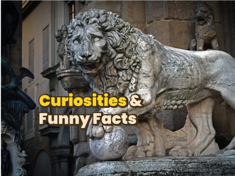 Firenze: Digital Guide made by a Local for your walking tour - Pricing, Value, and Who It’s Best For