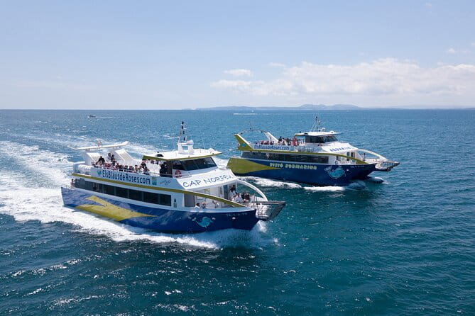Fireworks from the boat in Roses Bay - Who Should Consider This Tour?