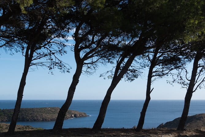 Fireworks from the boat in Roses Bay - FAQ: Your Questions Answered