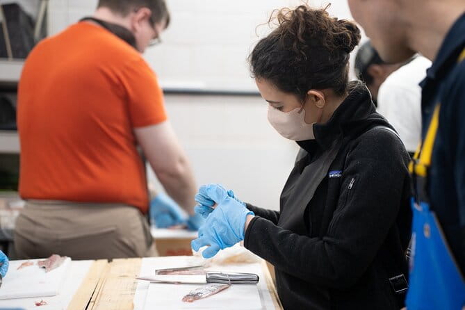 Fish Cutting Workshop in Kyoto Japan - Workshop Pricing and Availability