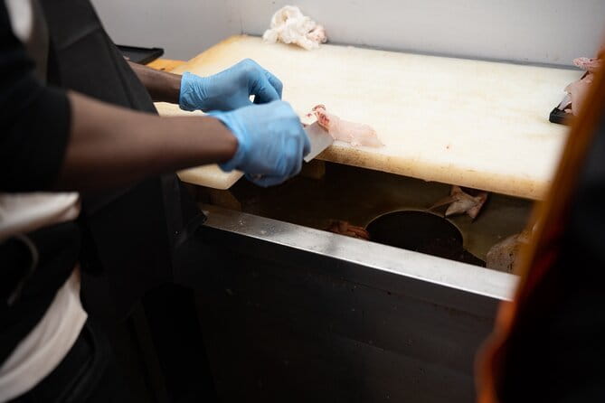 Fish Cutting Workshop in Kyoto Japan - Health and Safety Guidelines