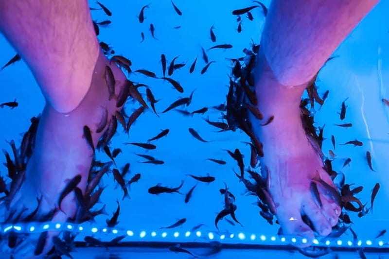 Fish Spa Experience - Price and Logistics: Making the Most of Your Time