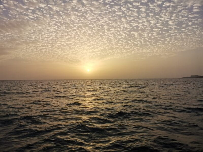 fishing charter 4h - Key Points / Takeaways