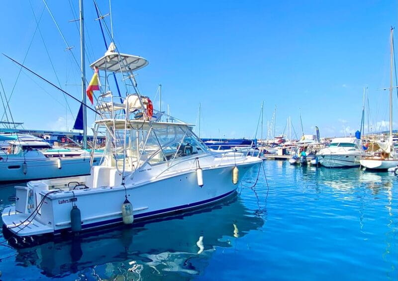 fishing charter 4h - What to Expect: The Itinerary and Activities