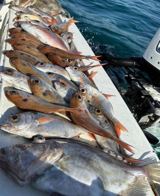 Fishing tour with midwater bolentino or rod technique. - Key points / Takeaways