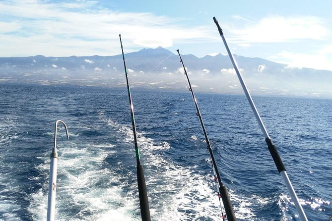 Fishing Trip, Tenerife Sea Passion - Meeting Point and Pickup