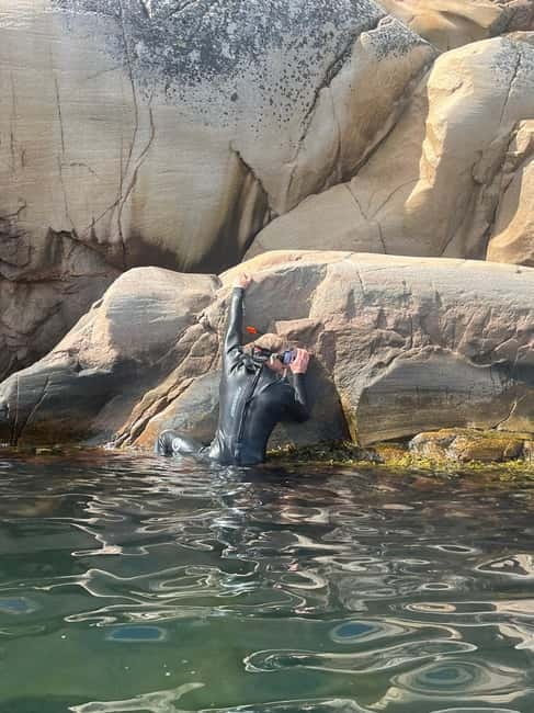 Fjällbacka: Seaweed Picking and SUP Paddling Tour - FAQ