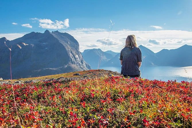 Fjord Expedition: Arctic Adventure Awaits - Frequently Asked Questions