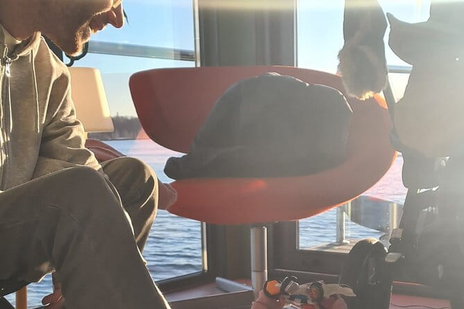 Fjord Houseboat Cruise in Oslo. 100 % electric. BYO - Price and Value Analysis