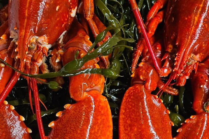 Fjord Houseboat Cruise in Oslo. 100 % electric. BYO - Final Recommendations