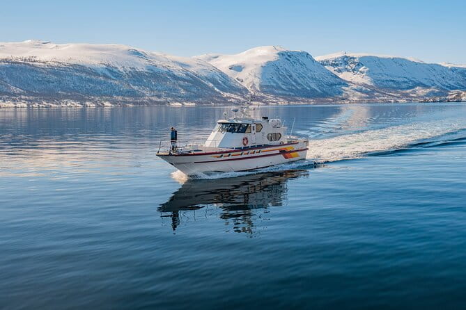 Fjord Safari in the Altafjord - FAQ