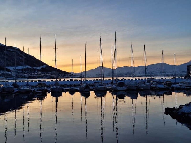 Fjord Tour and Amazing Sights by Minibus - Key points / Takeaways