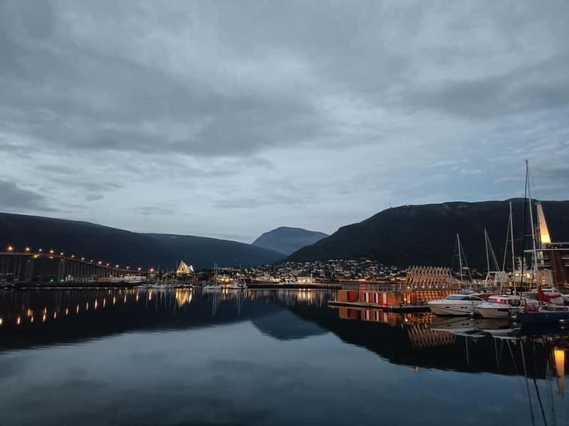 Fjord Tour and Amazing Sights by Minibus - Price and Value Considerations