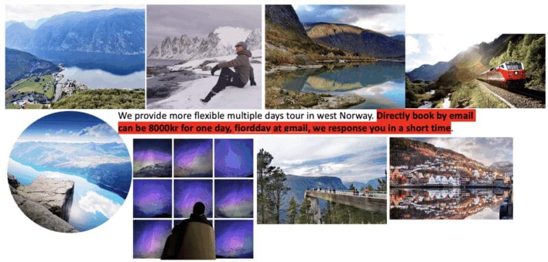 Flåm Flexible Tour with Stegastein, cruise and train include - The Journey Begins: Bergen to Sognefjord and Beyond