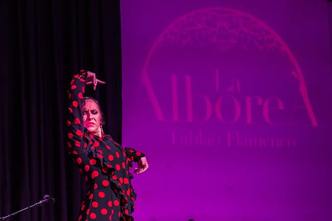 Flamenco in the Center of Granada - Key points / Takeaways