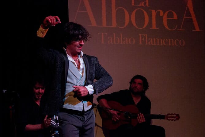 Flamenco in the Center of Granada - Who Is This Tour Best For?