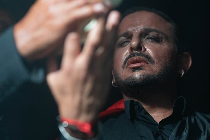 Flamenco Show at the Tablao Flamenco la Carmela - Key Points