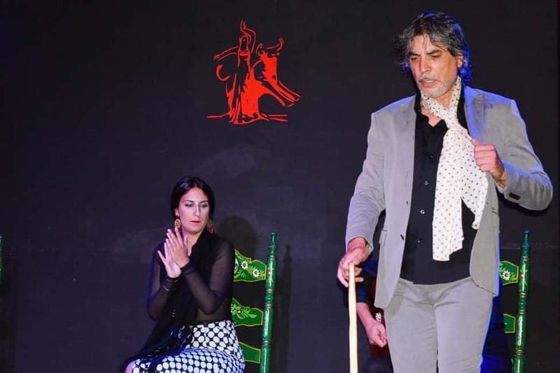 Flamenco Show: El Rompido, Huelva Coast - Key Points / Takeaways