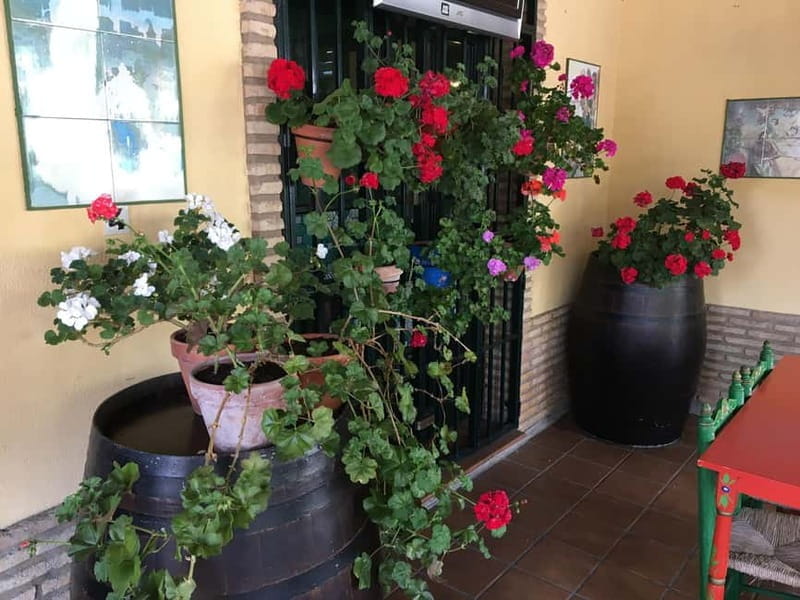 Flamenco Show: El Rompido, Huelva Coast - Practical Tips for Your Visit