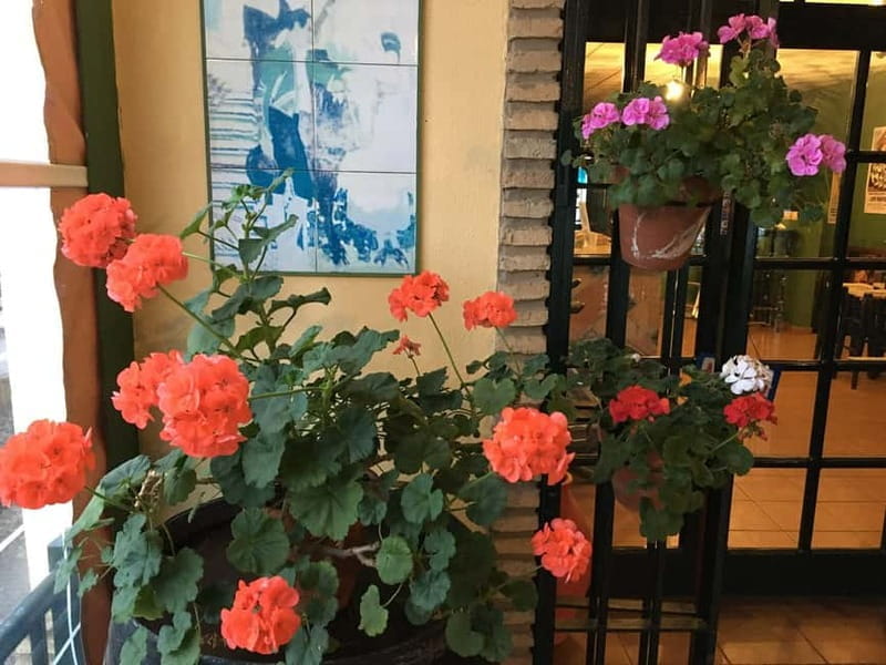 Flamenco Show: El Rompido, Huelva Coast - FAQ