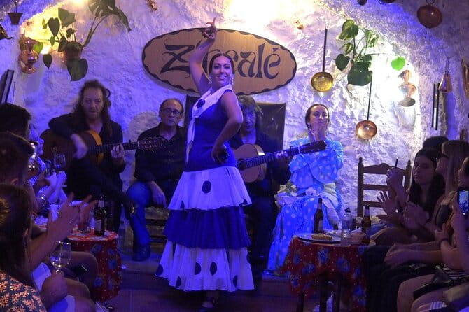 Flamenco Show in Cueva Zincalé - Who Should Consider This Experience?
