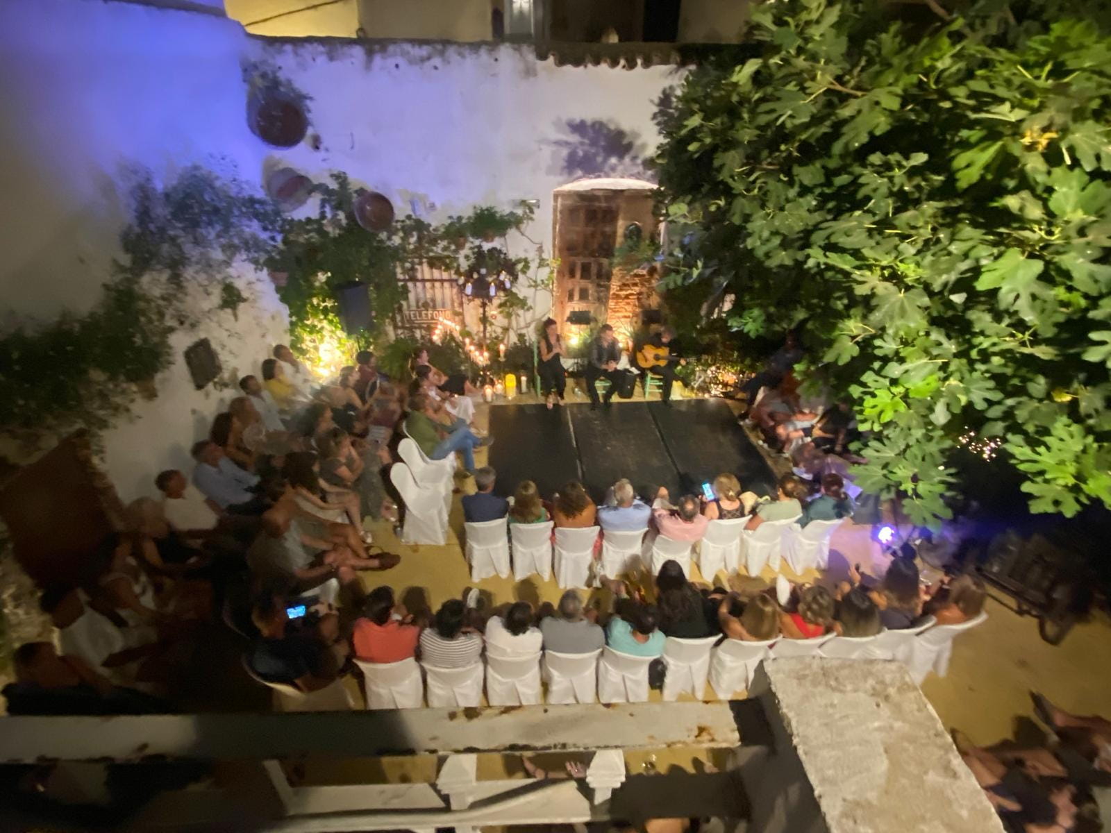 Flamenco Tablao La Puerta Ancha Entrance Ticket - Experience Highlights