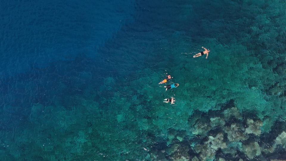 Flamingo Beach: Guided SUP and Snorkeling Experience - Things To Know