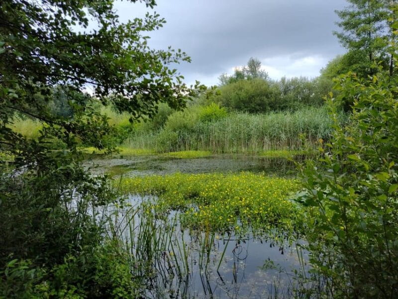 Flanders Day Tour with Turnhout, Hoogstraten & Kasterlee - Key points / Takeaways