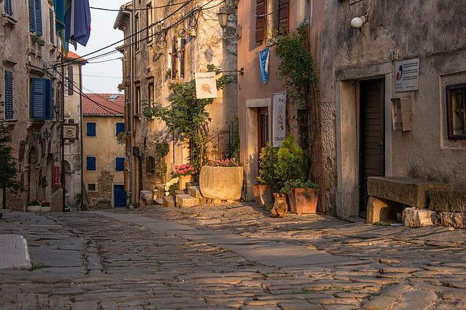 Flavours of Istria Tasting Experience from Koper - Who Will Love This Tour?